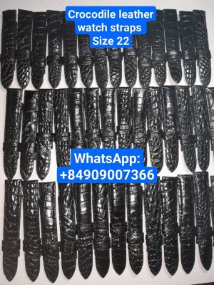 Dây đồng hồ Cá sấu Size 22